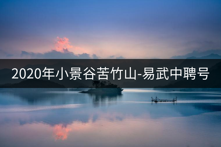2020年小景谷苦竹山-易武中聘號(hào) 2020年小景谷苦竹山-易武中聘號(hào)