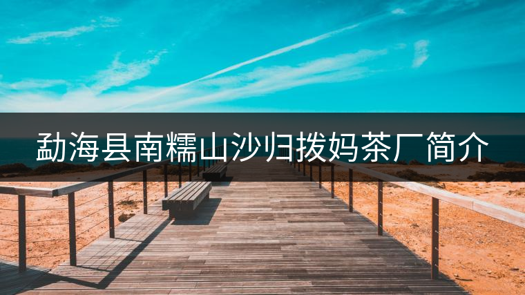 勐?？h南糯山沙歸撥媽茶廠簡介