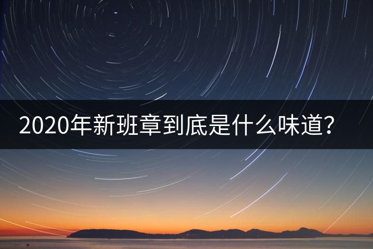 2020年新班章到底是什么味道？-易武中聘號(hào)