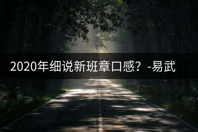 2020年細(xì)說新班章口感？-易武中聘號(hào)