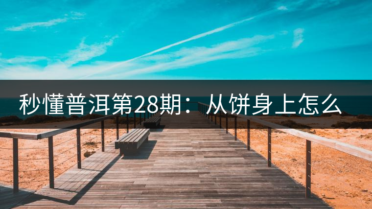 秒懂普洱第28期：從餅身上怎么辨識干倉與濕倉 普洱茶？