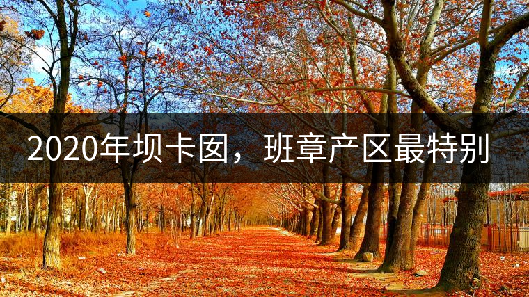 2020年壩卡囡，班章產(chǎn)區(qū)最特別的茶 -易武中聘號
