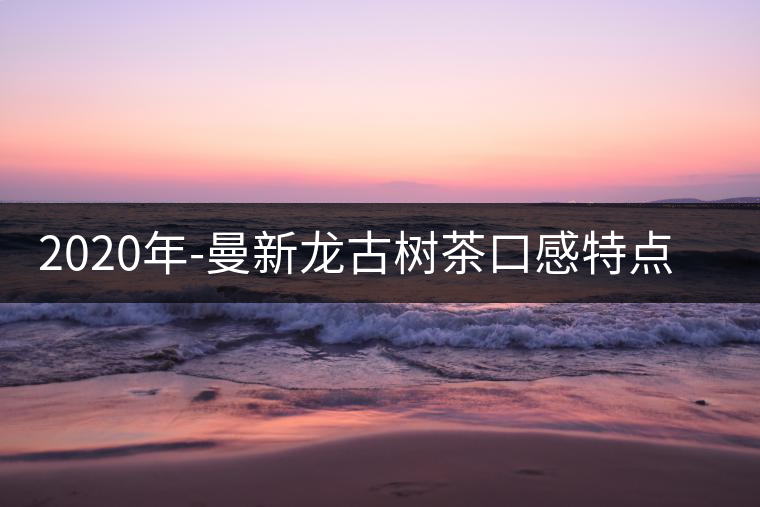 2020年-曼新龍古樹茶口感特點-易武中聘號 2020年-曼新龍古樹茶口感特點-易武中聘號