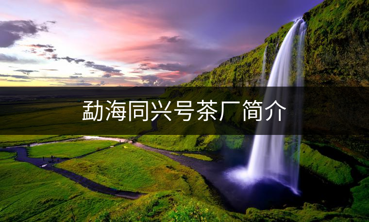 勐海同興號茶廠簡介