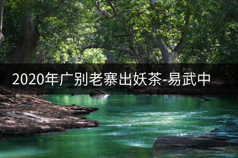 2020年廣別老寨出妖茶-易武中聘號(hào)