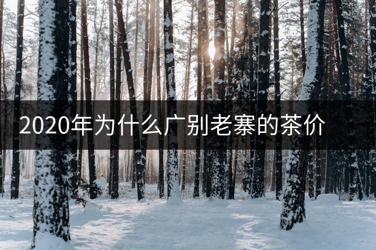 2020年為什么廣別老寨的茶價(jià)格這么貴名氣卻不是很大？-易武中聘號(hào)