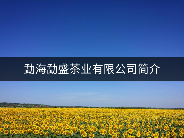 勐海勐盛茶業(yè)有限公司簡介