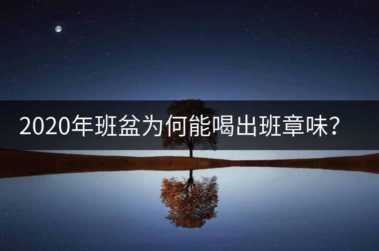 2020年班盆為何能喝出班章味？-易武中聘號(hào)
