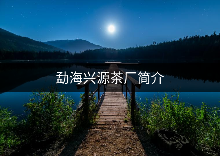 勐海興源茶廠簡(jiǎn)介 勐海興源茶廠簡(jiǎn)介