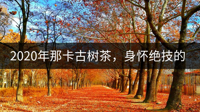 2020年那卡古樹(shù)茶，身懷絕技的“小班章” -易武中聘號(hào)