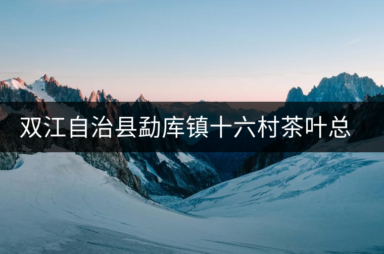 雙江自治縣勐庫鎮(zhèn)十六村茶葉總匯元夢茶廠簡介 雙江自治縣勐庫鎮(zhèn)十六村茶葉總匯元夢茶廠簡介