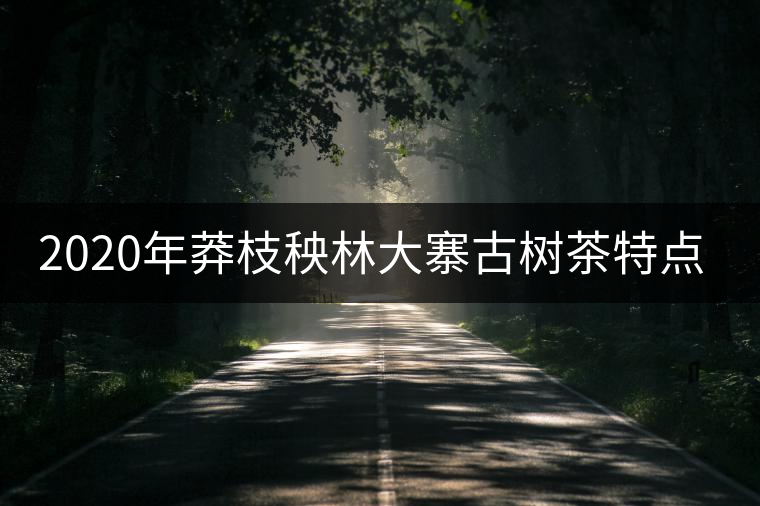 2020年莽枝秧林大寨古樹茶特點(diǎn)-易武中聘號(hào) 2020年莽枝秧林大寨古樹茶特點(diǎn)-易武中聘號(hào)