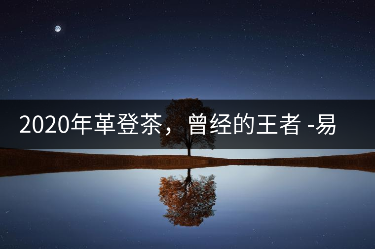 2020年革登茶，曾經(jīng)的王者 -易武中聘號(hào)