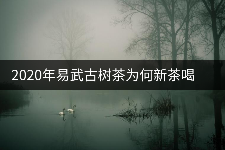 2020年易武古樹茶為何新茶喝時(shí)淡卻越放越濃？-易武中聘號(hào)