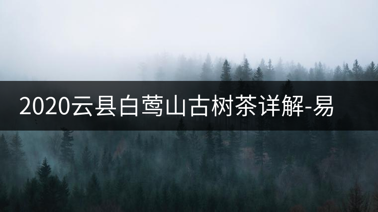 2020云縣白鶯山古樹茶詳解-易武中聘號