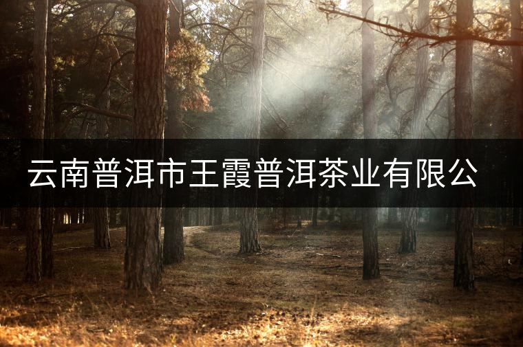 云南普洱市王霞普洱茶業(yè)有限公司簡(jiǎn)介 云南普洱市王霞普洱茶業(yè)有限公司簡(jiǎn)介