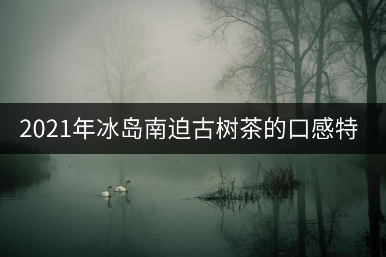 2021年冰島南迫古樹(shù)茶的口感特點(diǎn)！
