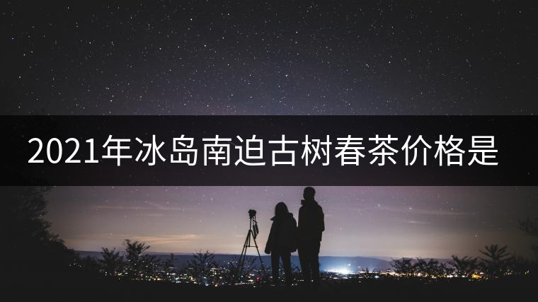 2021年冰島南迫古樹春茶價格是多少？