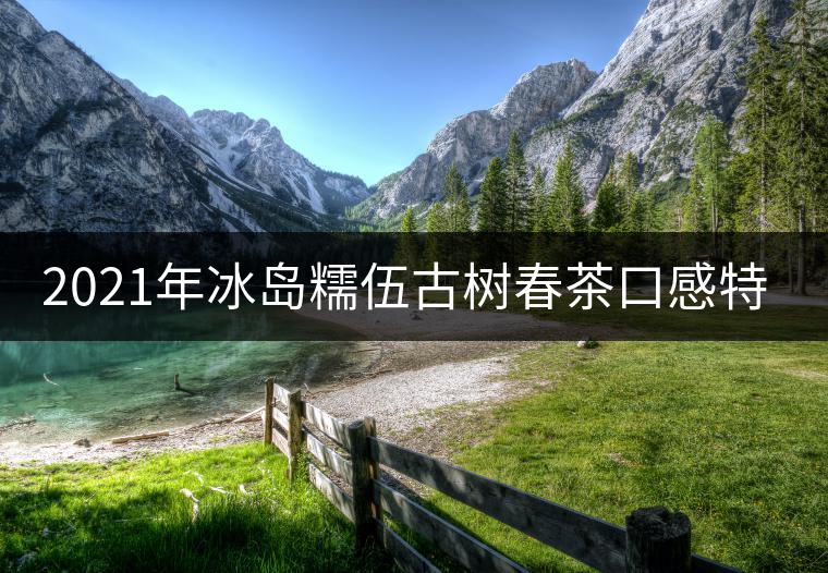 2021年冰島糯伍古樹春茶口感特點(diǎn)？