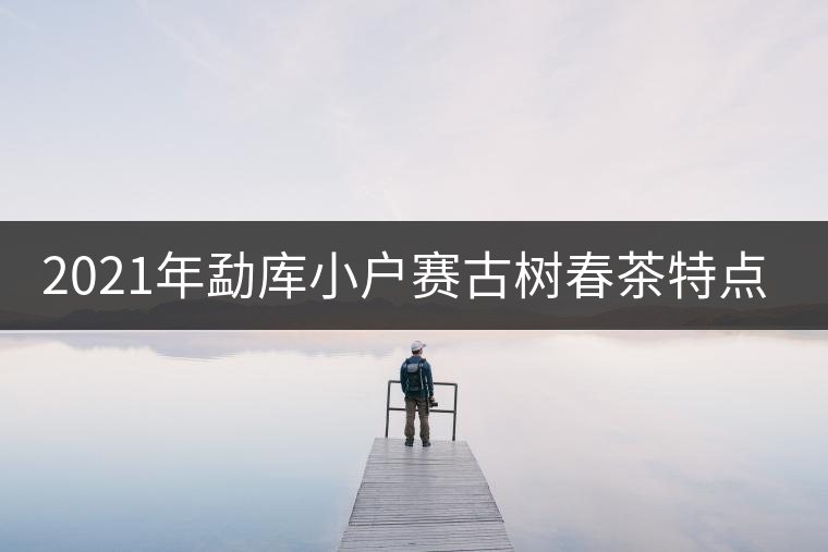 2021年勐庫小戶賽古樹春茶特點(diǎn)？