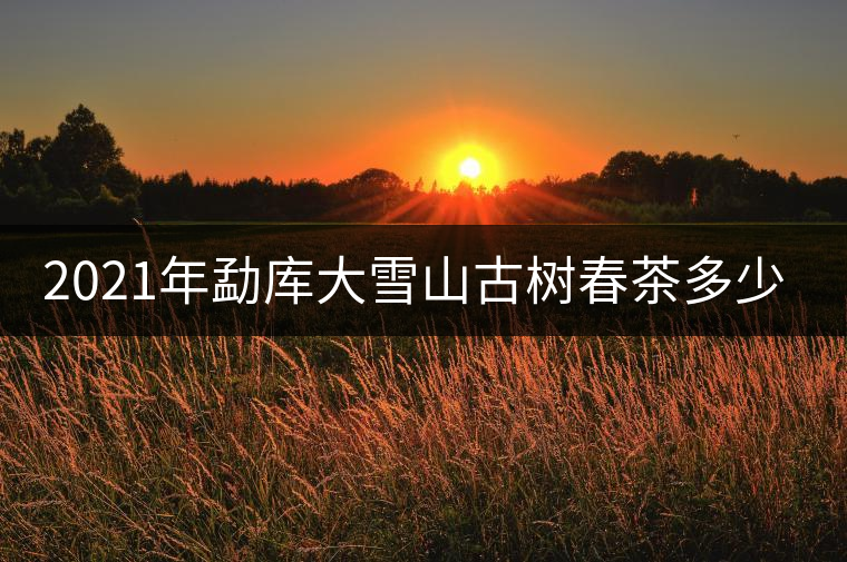 2021年勐庫大雪山古樹春茶多少錢一公斤？