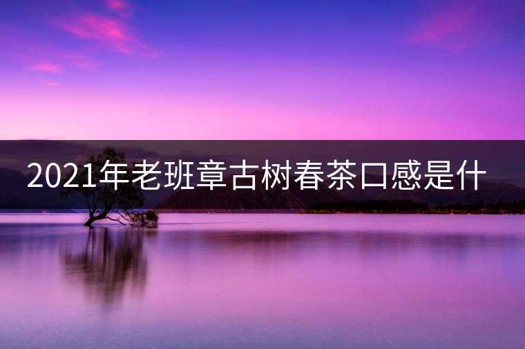 2021年老班章古樹春茶口感是什么？