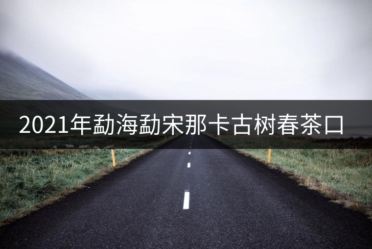2021年勐海勐宋那卡古樹春茶口感？