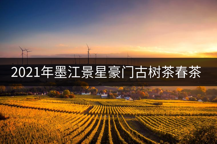 2021年墨江景星豪門古樹茶春茶價(jià)格多少錢一斤？