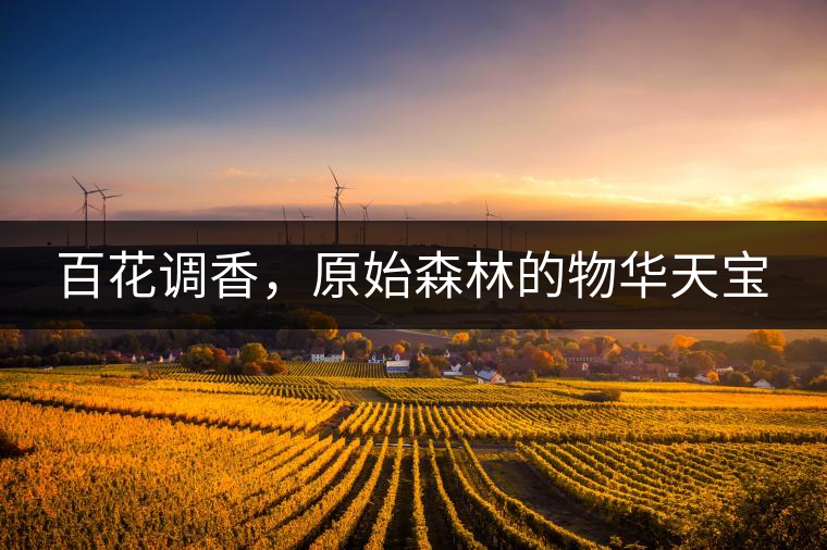 百花調(diào)香，原始森林的物華天寶