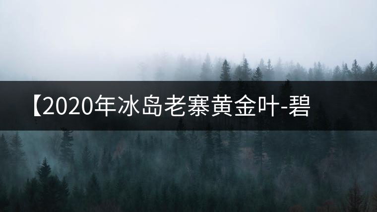 【2020年冰島老寨黃金葉-碧波蕩漾一抹香，輕啜半盞甘若露。