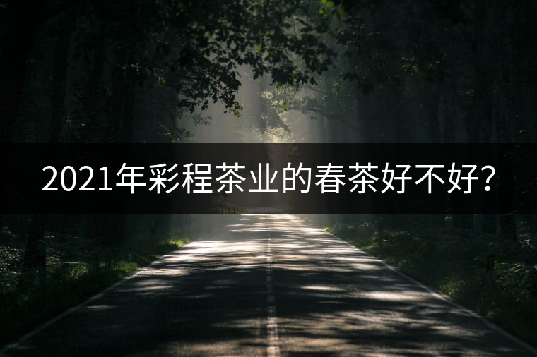 2021年彩程茶業(yè)的春茶好不好？