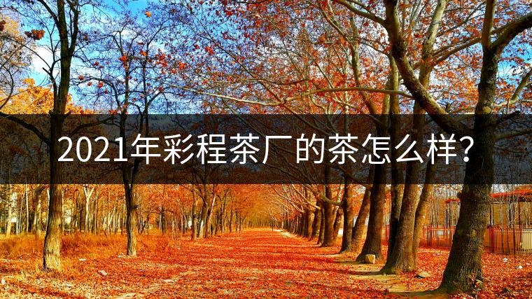 2021年彩程茶廠的茶怎么樣？