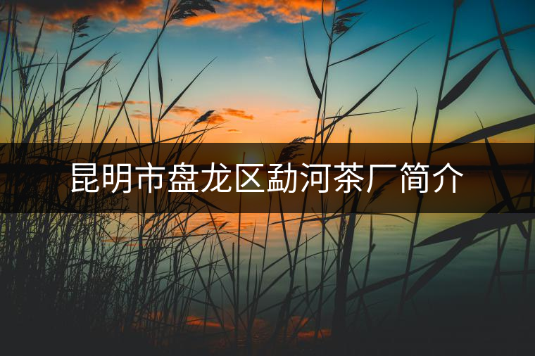 昆明市盤(pán)龍區(qū)勐河茶廠(chǎng)簡(jiǎn)介