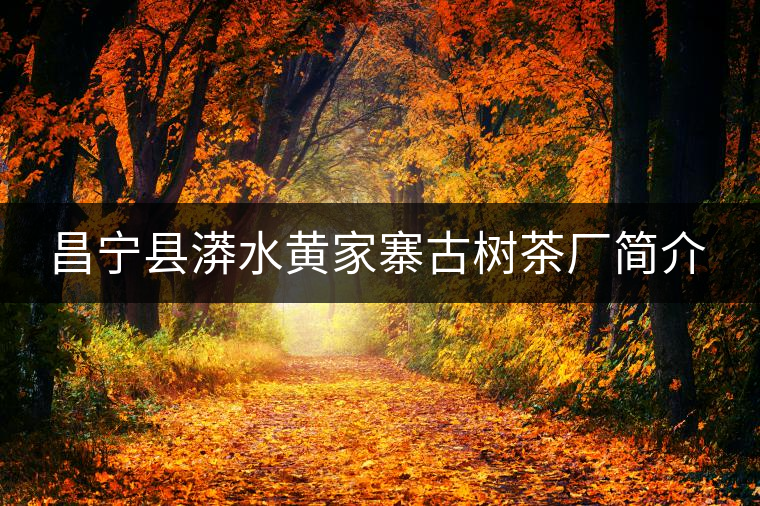 昌寧縣漭水黃家寨古樹(shù)茶廠簡(jiǎn)介