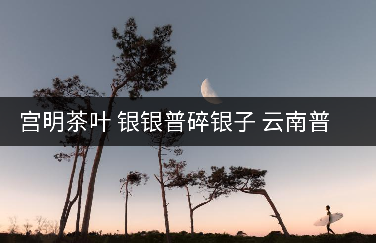 宮明茶葉 銀銀普碎銀子 云南普洱茶熟茶易武古樹(shù)糯米香老茶頭好喝嗎？