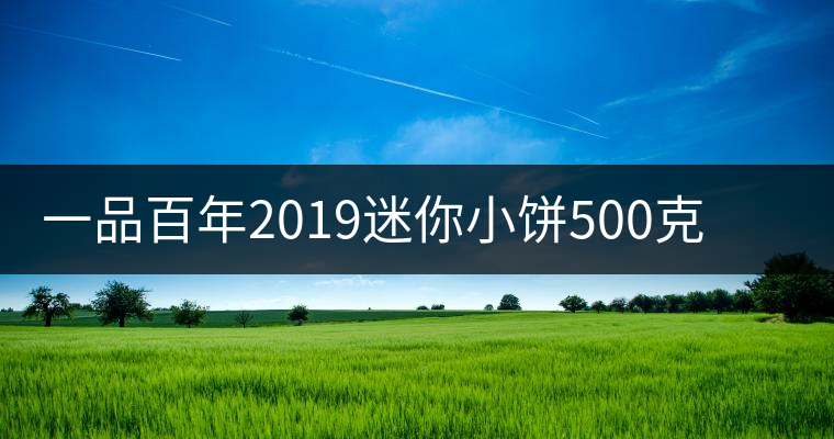 一品百年2019迷你小餅500克古樹生茶品質(zhì)好不好？