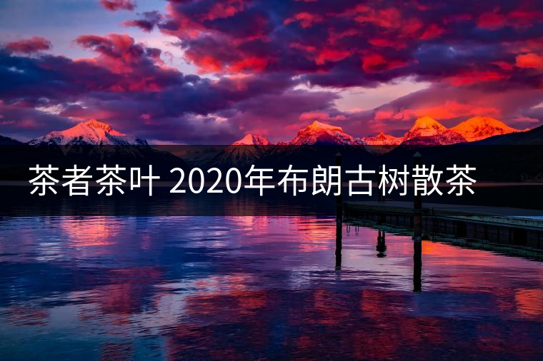 茶者茶葉 2020年布朗古樹散茶  性價(jià)比怎么樣？