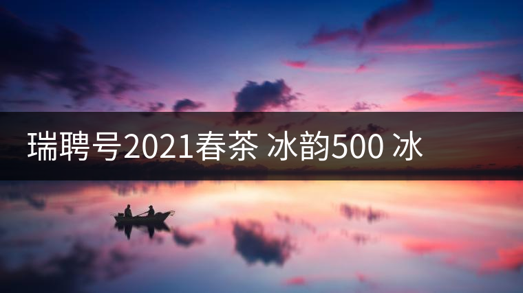 瑞聘號2021春茶 冰韻500 冰島頭春古樹茶口感好不好？