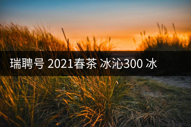 瑞聘號 2021春茶 冰沁300 冰島頭春古樹茶好喝嗎？