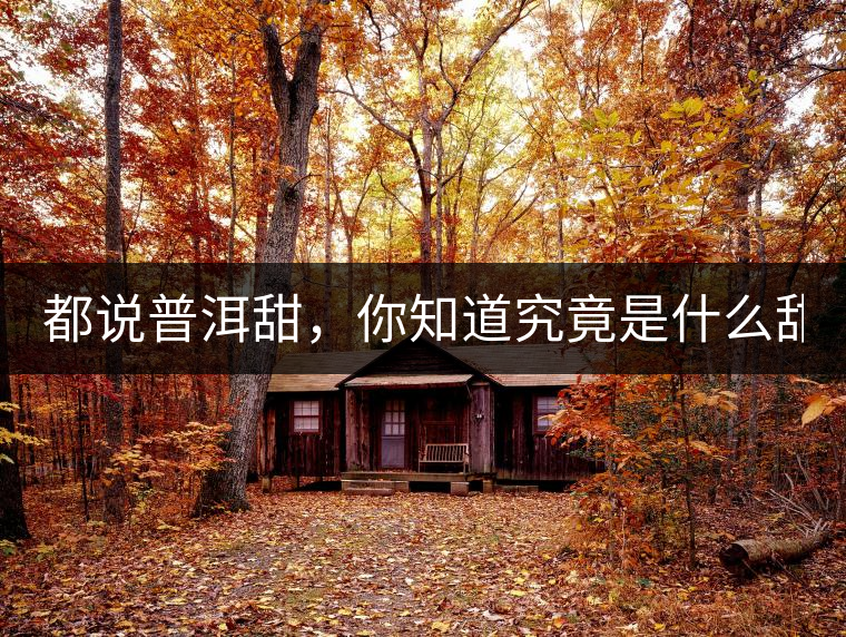 都說普洱甜，你知道究竟是什么甜嗎？