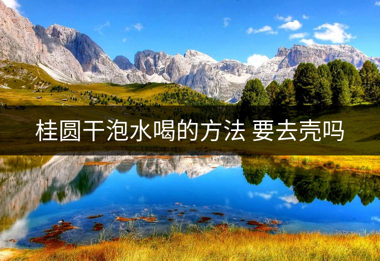 桂圓干泡水喝的方法 要去殼嗎