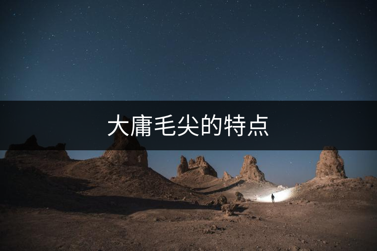 大庸毛尖的特點 大庸毛尖的特點