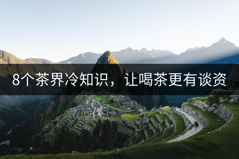 8個(gè)茶界冷知識(shí)，讓喝茶更有談資！