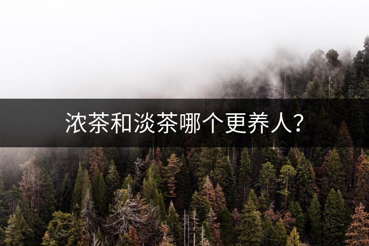 濃茶和淡茶哪個更養(yǎng)人？