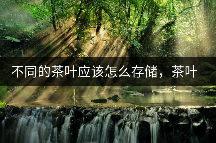 不同的茶葉應(yīng)該怎么存儲，茶葉罐又該如何選擇？