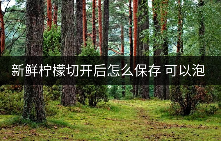 新鮮檸檬切開后怎么保存 可以泡幾次