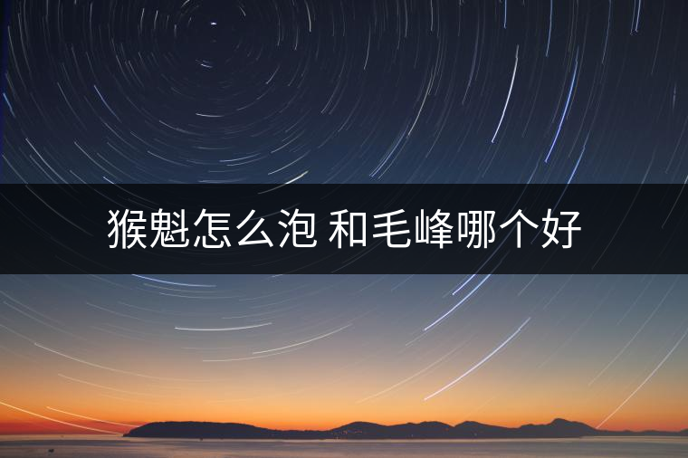 猴魁怎么泡 和毛峰哪個(gè)好