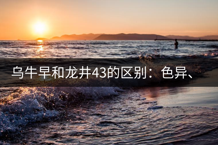 烏牛早和龍井43的區(qū)別：色異、香異、形異