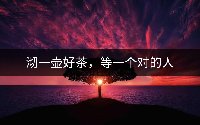 沏一壺好茶，等一個(gè)對(duì)的人