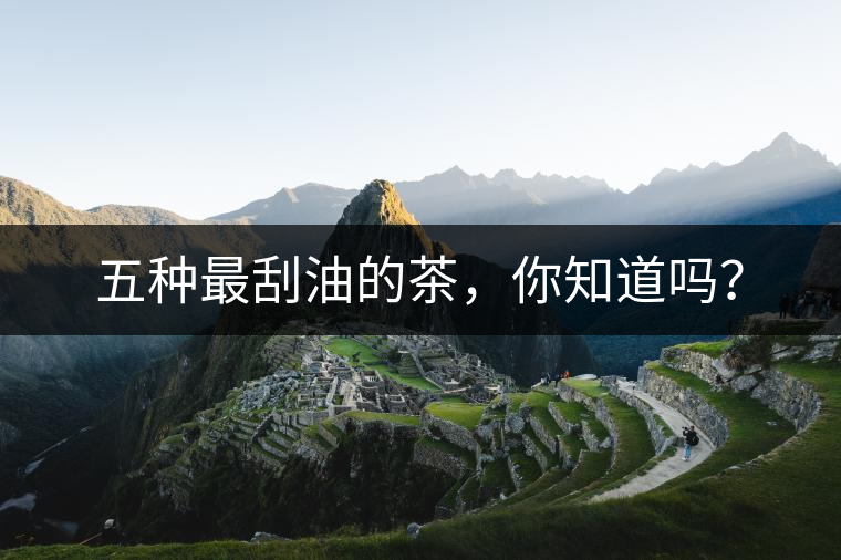 五種最刮油的茶，你知道嗎？